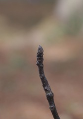 オメデト〜❣️