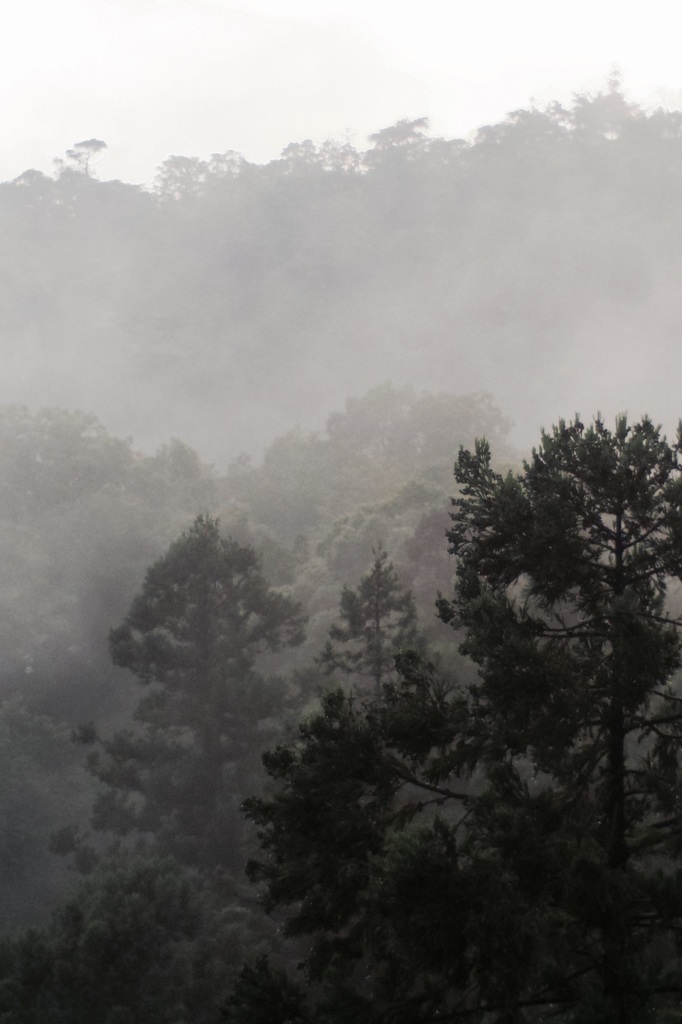 帰り道の途中で