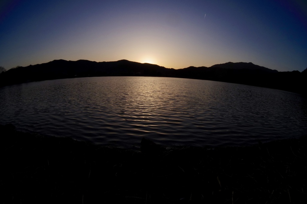 広沢池  対岸からの夕暮れ