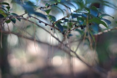 股裂きの刑　^ ^