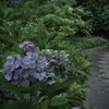 雨路彩.