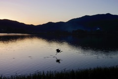 ホップ ステップ ジャ〜ンプ