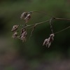涙のかわくまで