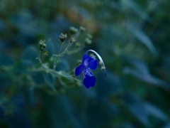 ？？初めまして、、