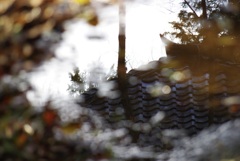 水たまりの屋根