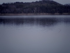 あの広沢池はもう満タンになりました。