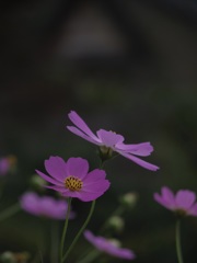 おっ！綺麗な形だ❣️