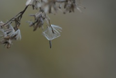 ちょっと待ってよ！