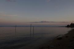 夕暮れ時は寂しそう