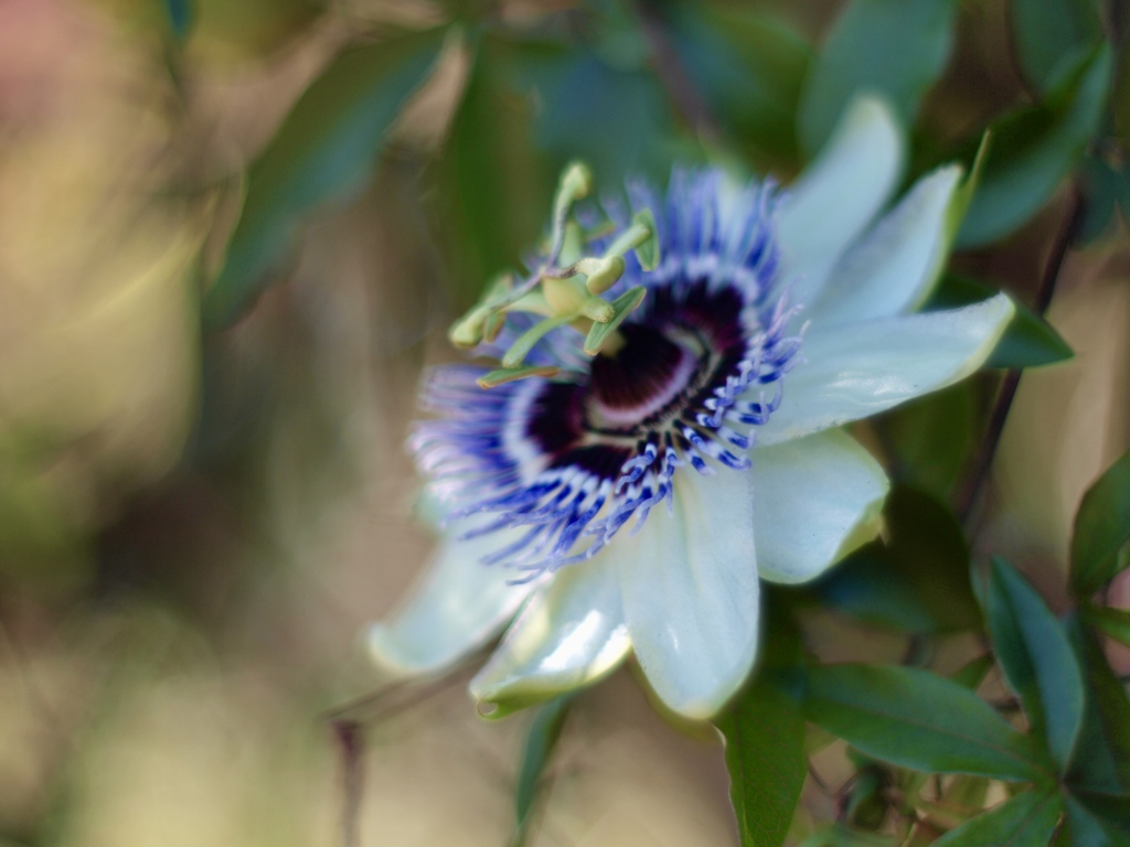 11時41分19秒　AM