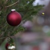 Happy Holidays!