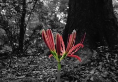 只今準備中、、