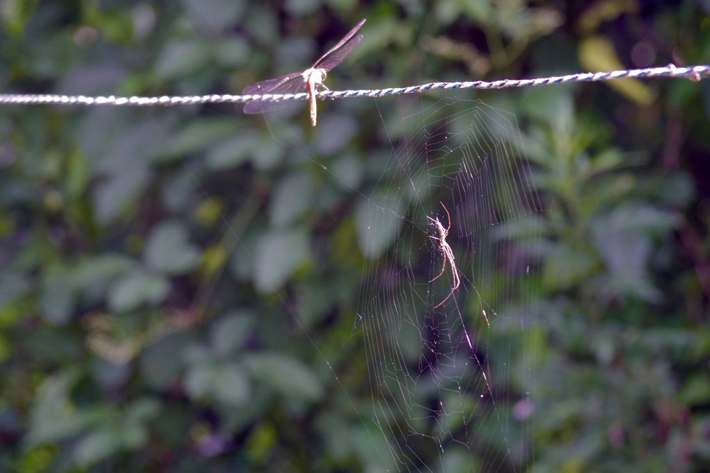 お〜っと！あぶな！