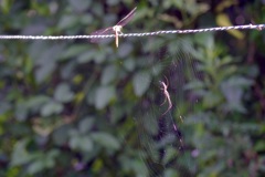 お〜っと!あぶな!