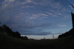 秋空来た