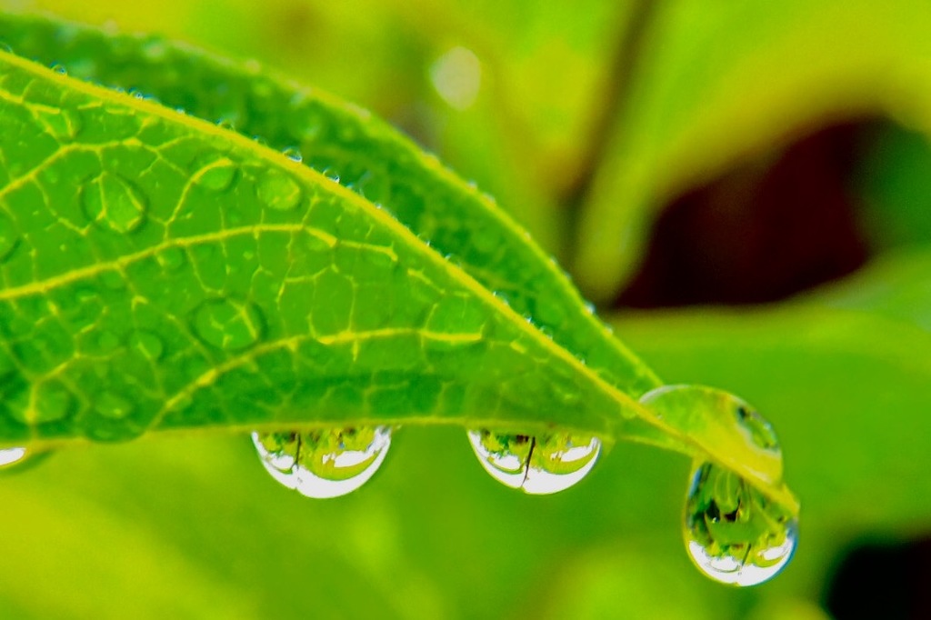 梅雨の一休み