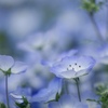 春の幻　3