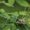 雨の日..