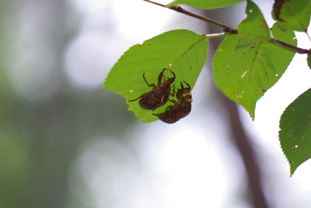 前世からの約束