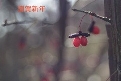 今年もよろしく❣️