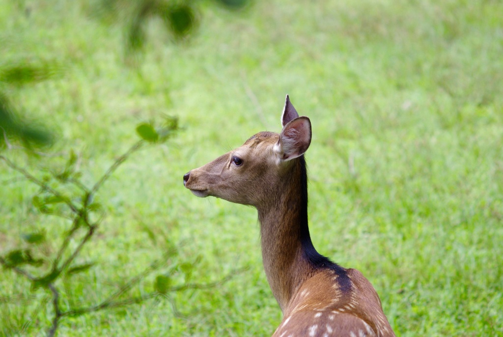 ん？  シャッター音？