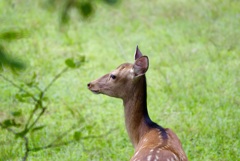 ん? シャッター音?