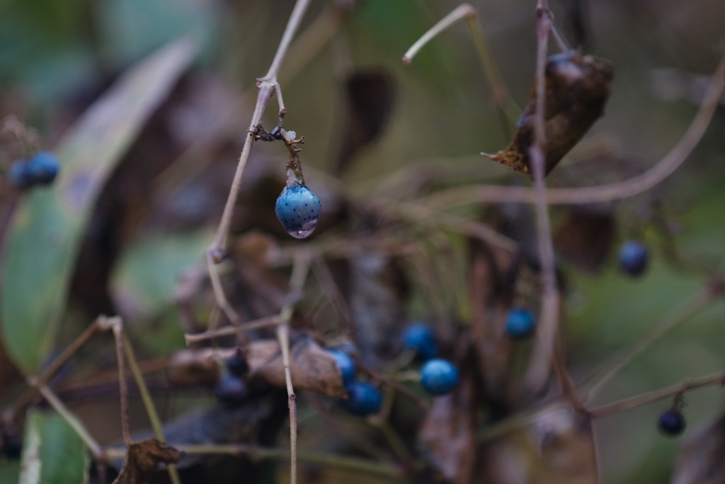 サファイアブルー