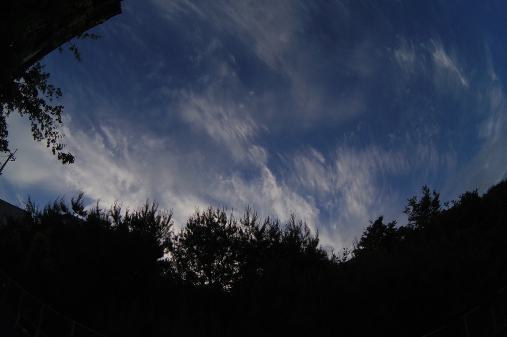 絵のような雲だった。