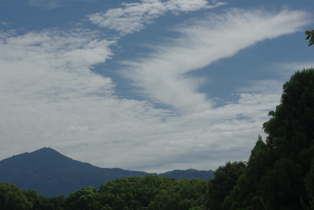 上陸前日の植物園の空