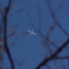 梅は〜咲いたか 桜はまだかいな、、