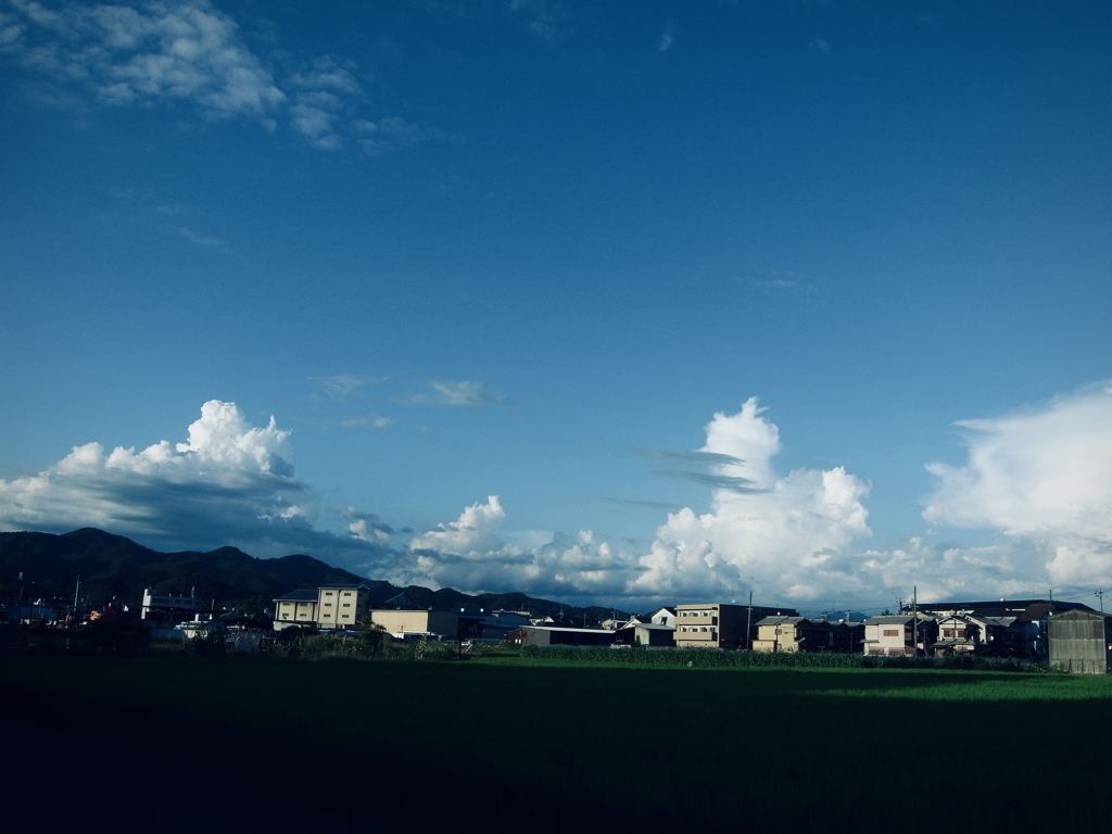 夏の雲