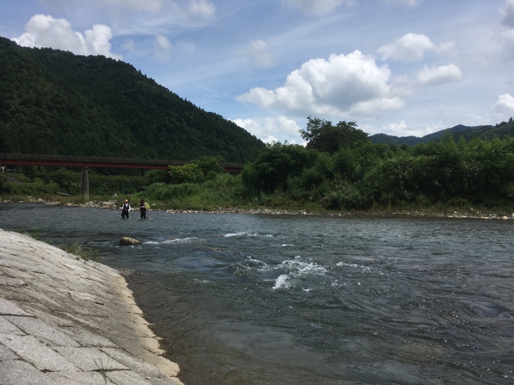 鮎指南
