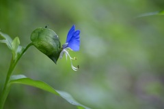 Your profile is beautiful.