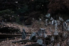 誰かが風の中で