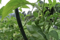 私はどこにいるでしょ〜〜か！？