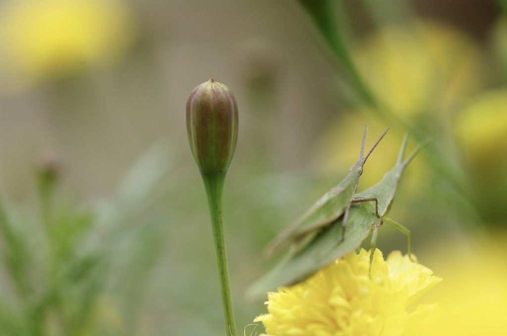 離さない　いつまでも　、、、♪