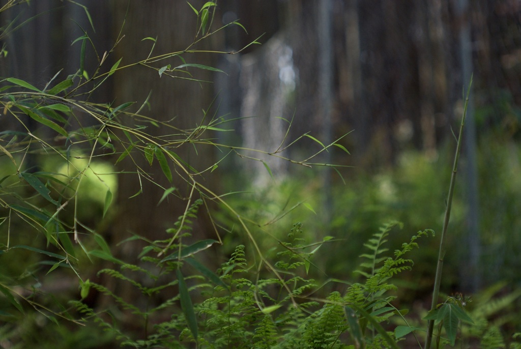 ちと、早いっしょ〜^ ^