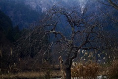 春にはやさしく冬には荒々しく