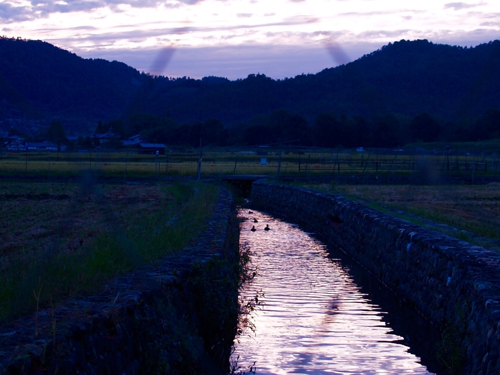 夕暮れの用水路