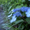 お写ん歩