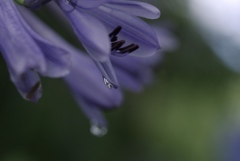 雨のあと