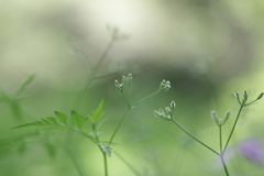 君といつまでも