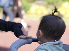 お散歩