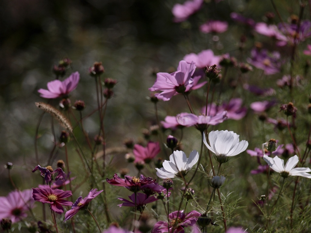 今年もありがとう