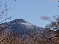 うっすら雪化粧