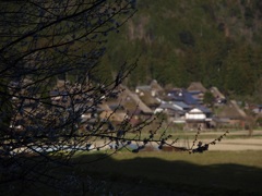 かやぶきの里