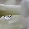 Air dome in drops of water
