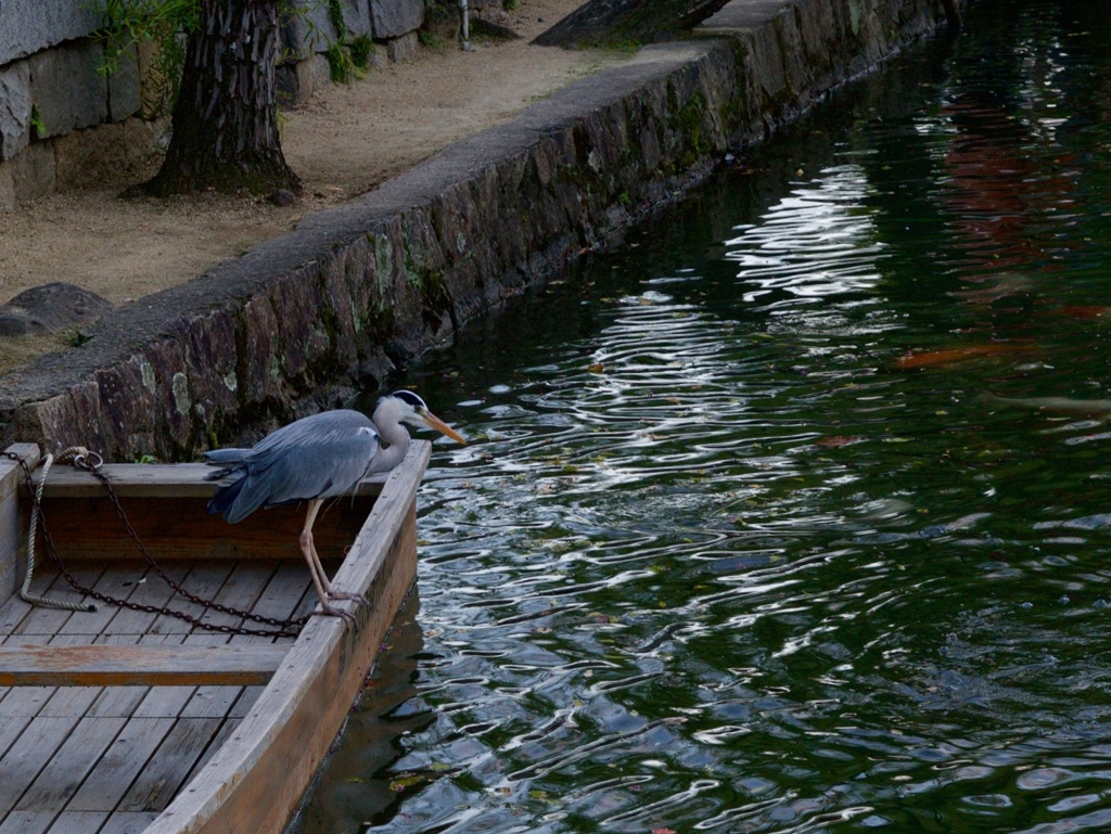 ちょっと大きいなぁ、、