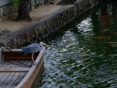 ちょっと大きいなぁ、、