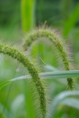 撮った時はわからなかった^ ^